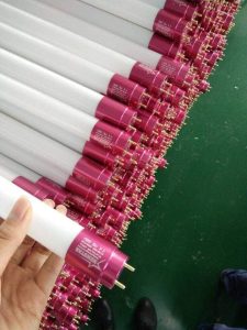Các loại đèn LED phổ biến