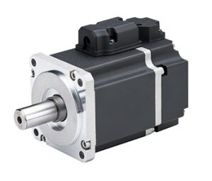 Động cơ servo